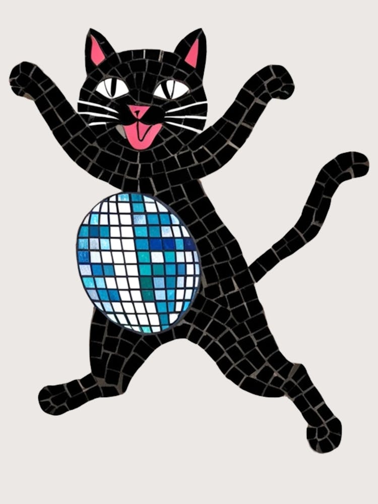 Disco-Katze 9