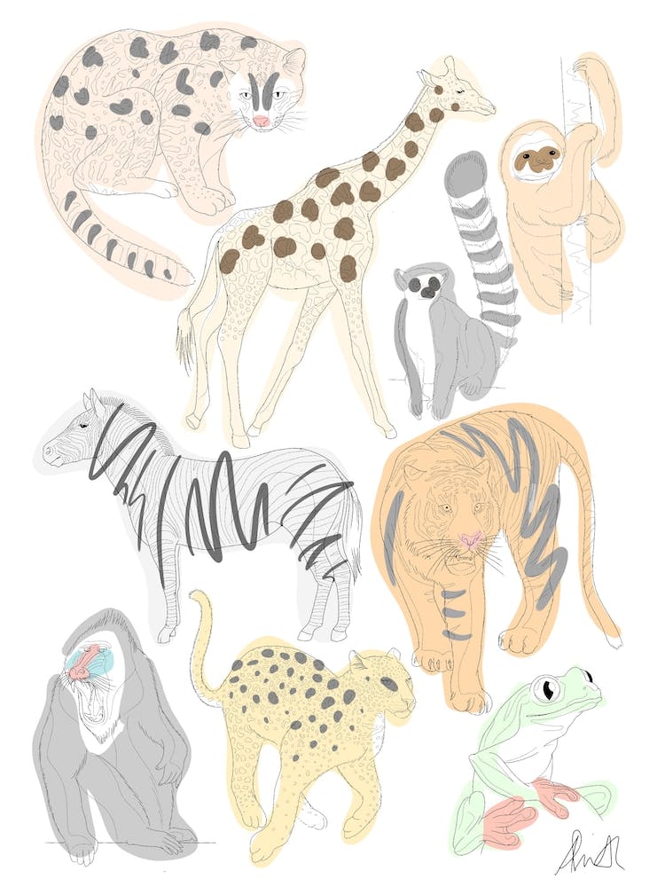 Animals