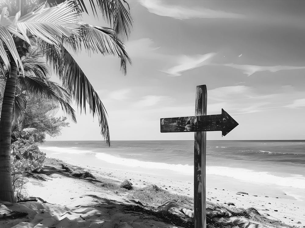 Panneau de Plage Noir et Blanc