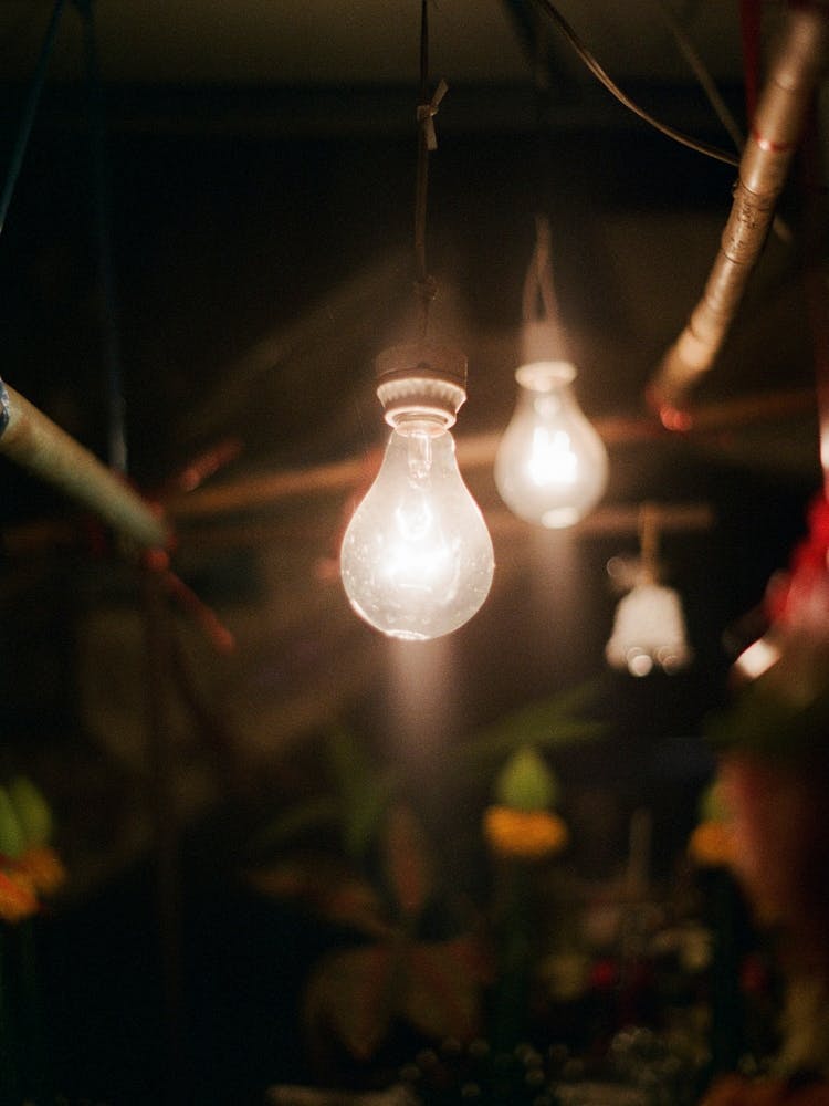 Light