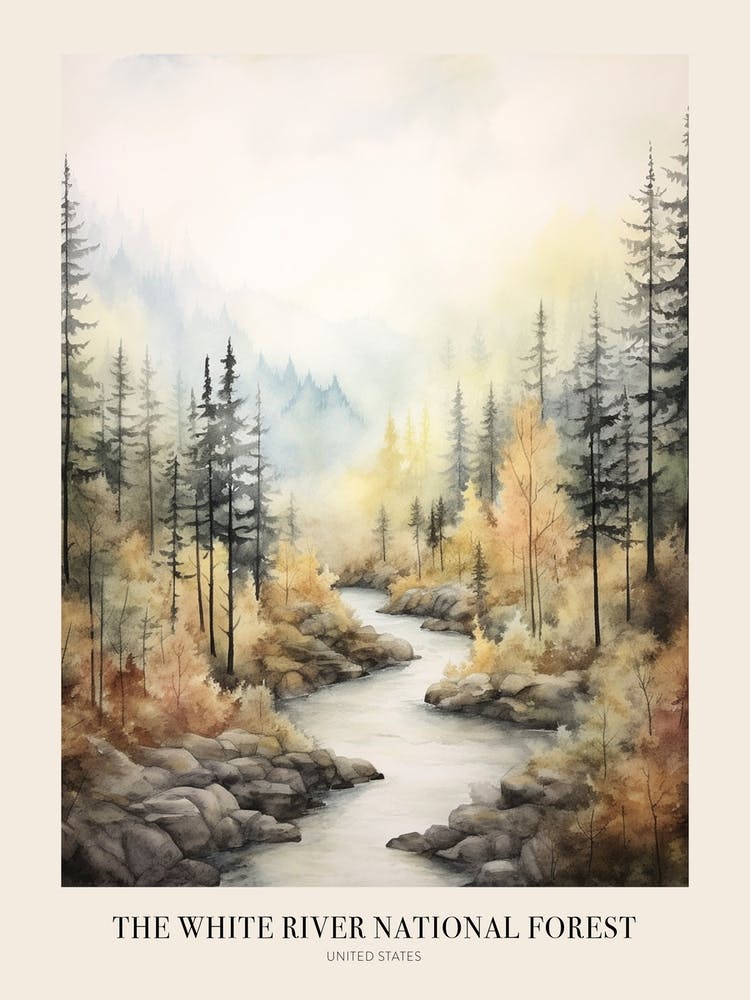 Autumn Forest Landscape The White River National Forest Poster