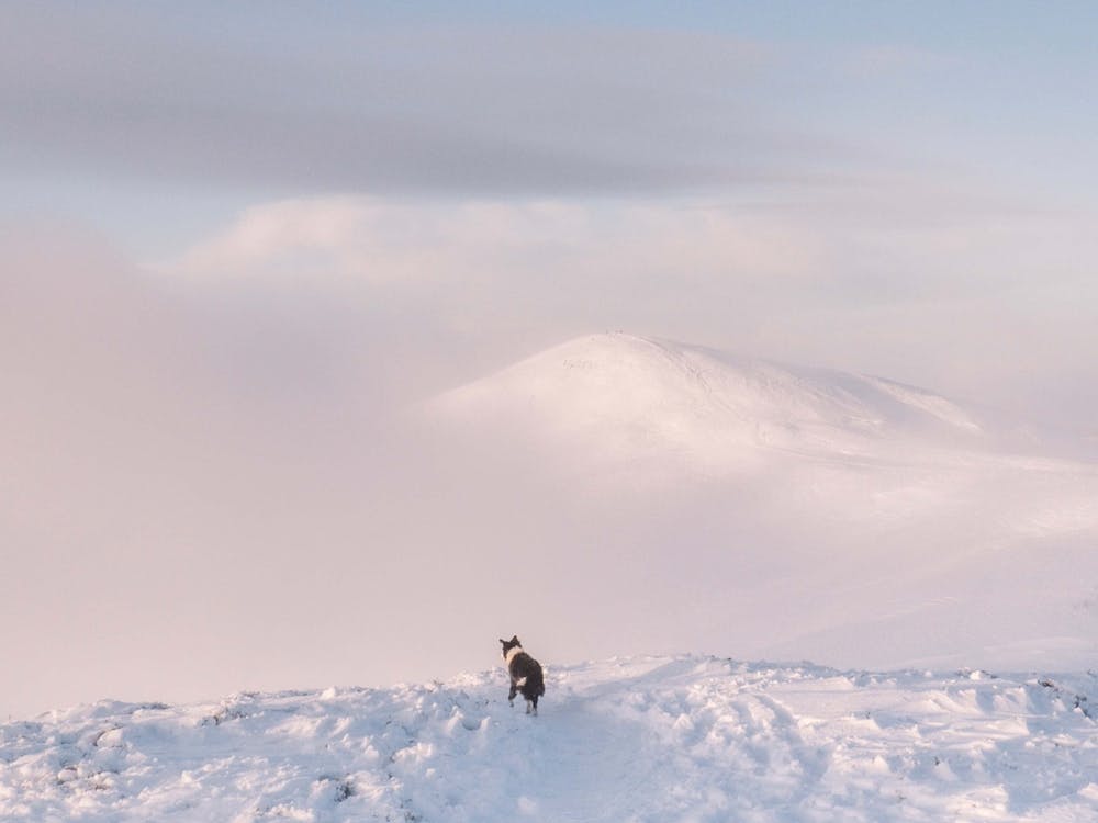 Person auf Schnee