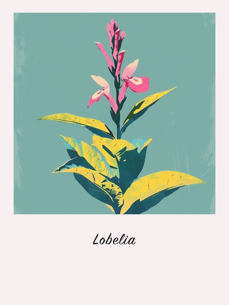 Lobélie 2 - Illustration de Fleur Carrée - Affiche
