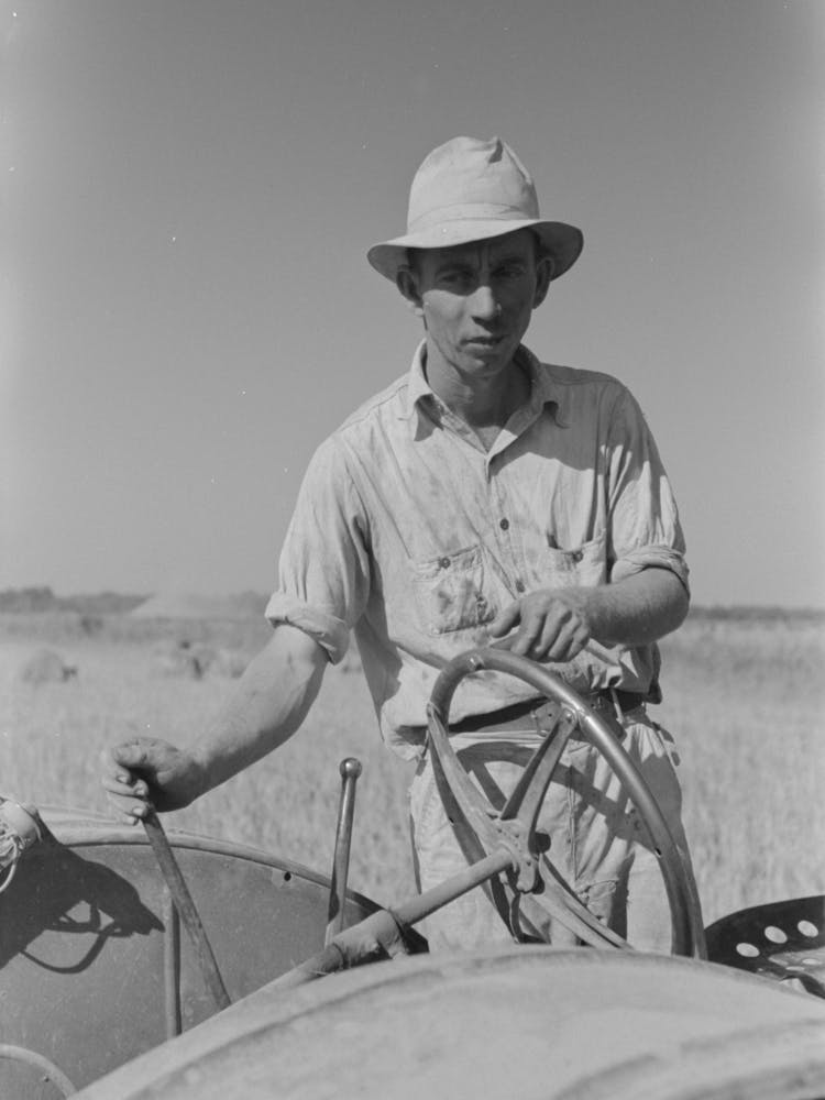 Untitled Photo, Possibly Related To Pitching Bundles Of Rice From Rack To Wagon, Note How Bundle Is Caught In