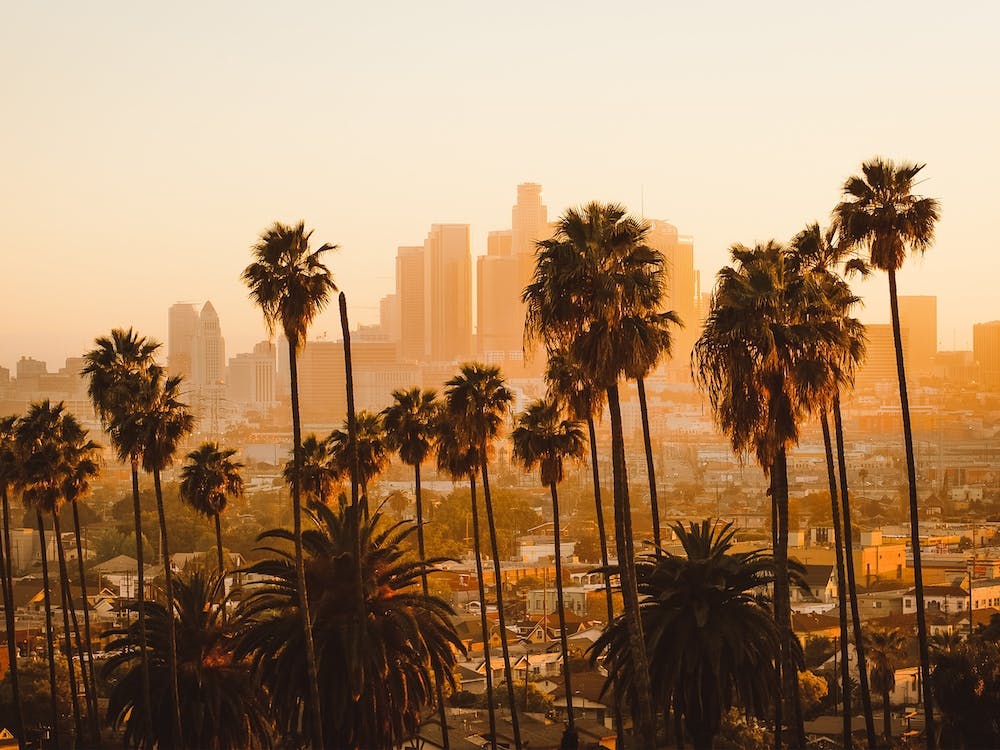 Los Angeles Sunset