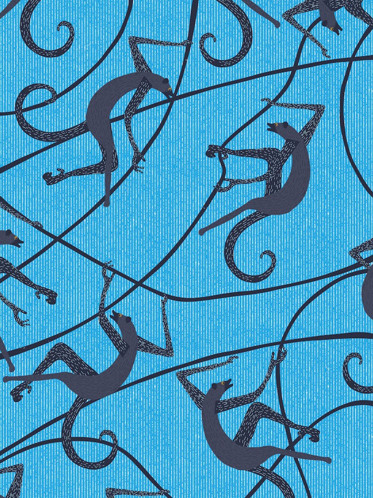 Monkeys On A Blue Background