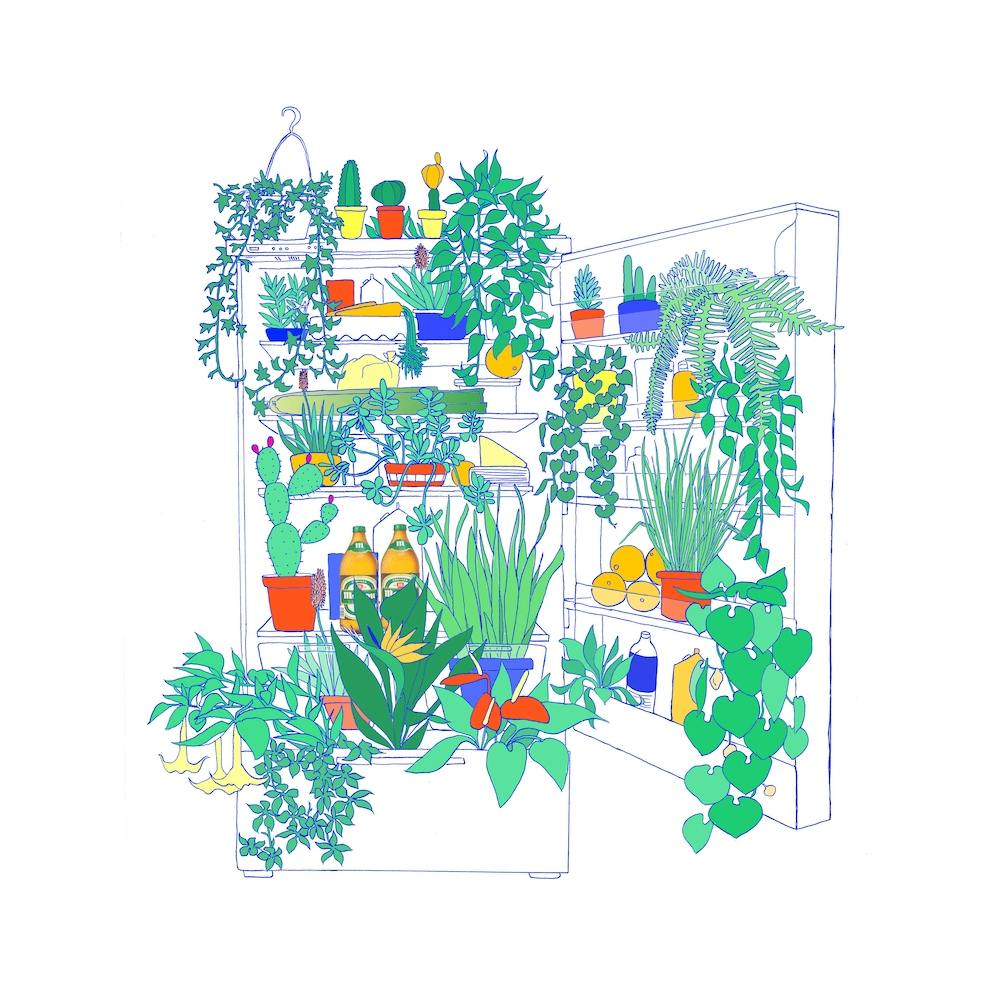 Plants In The Fridge