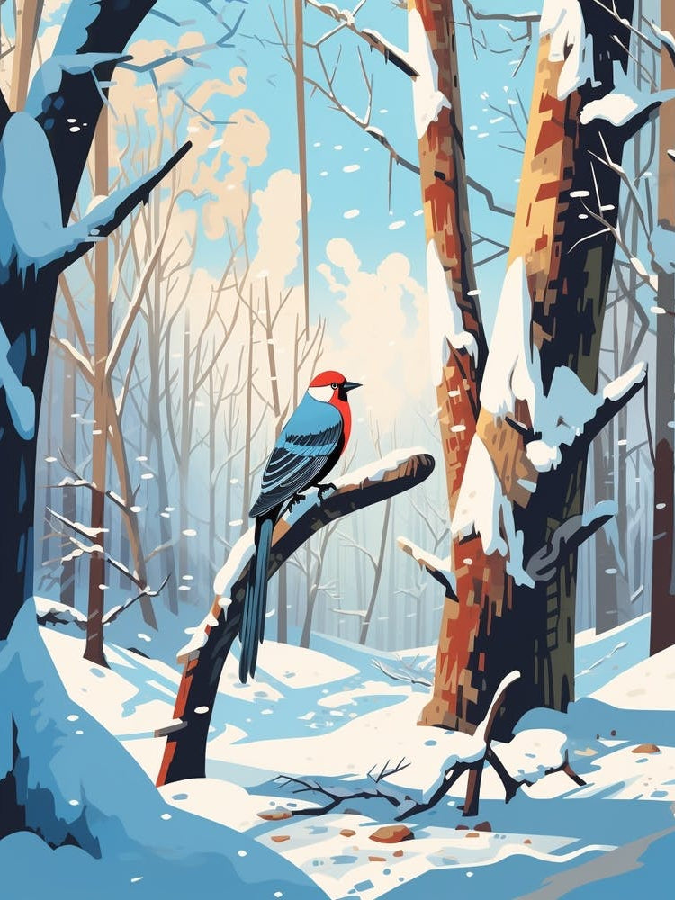 Winter Woodpecker 1 Illustration