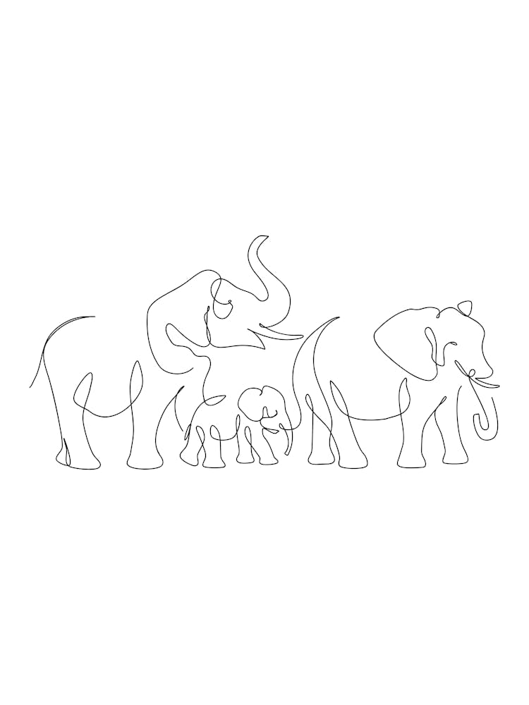 Family Of Elephants