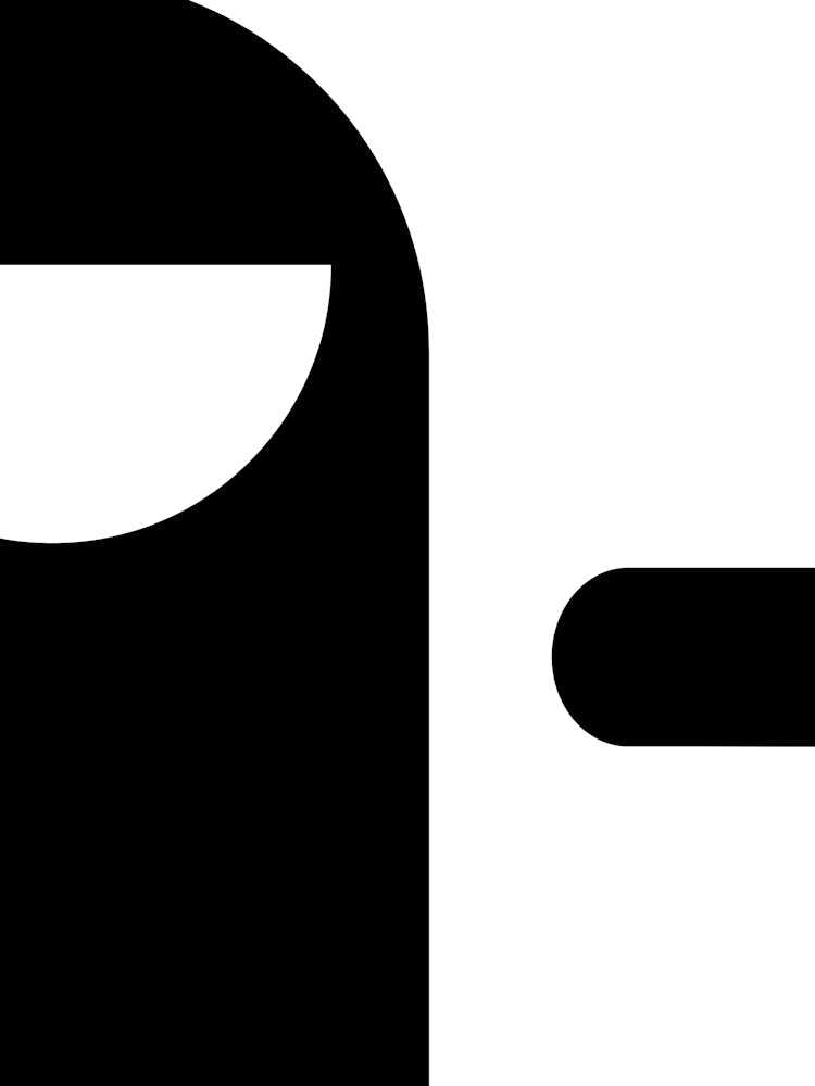 Ninja Icon