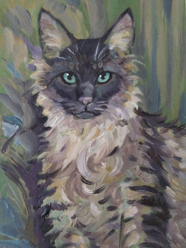 Serious cat on a green background