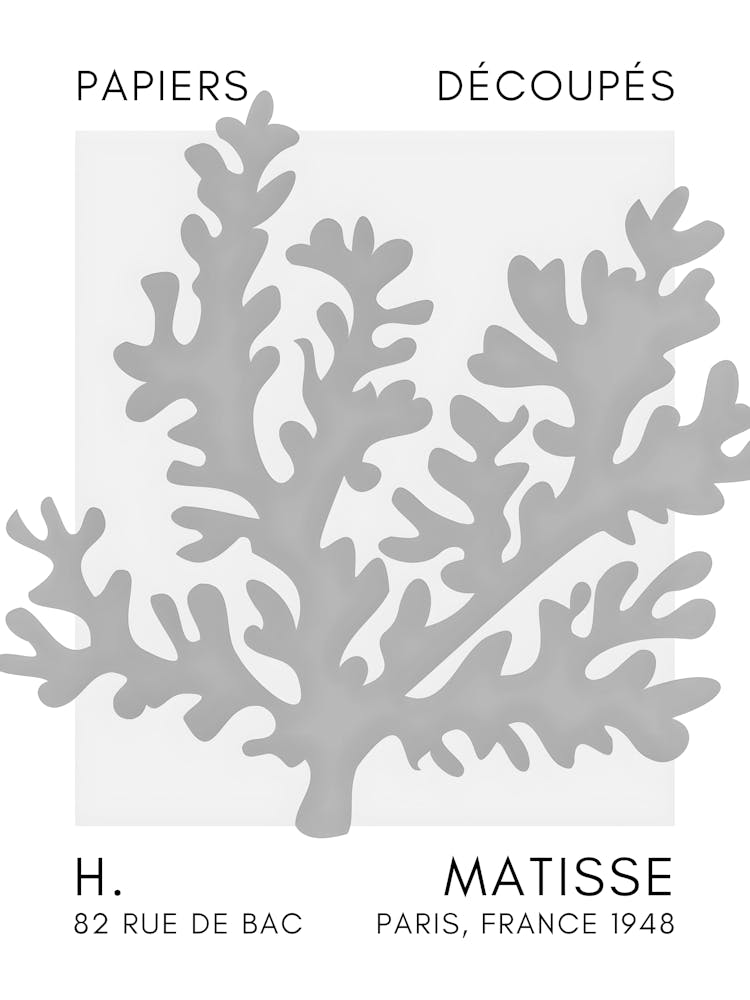 H Matisse 50