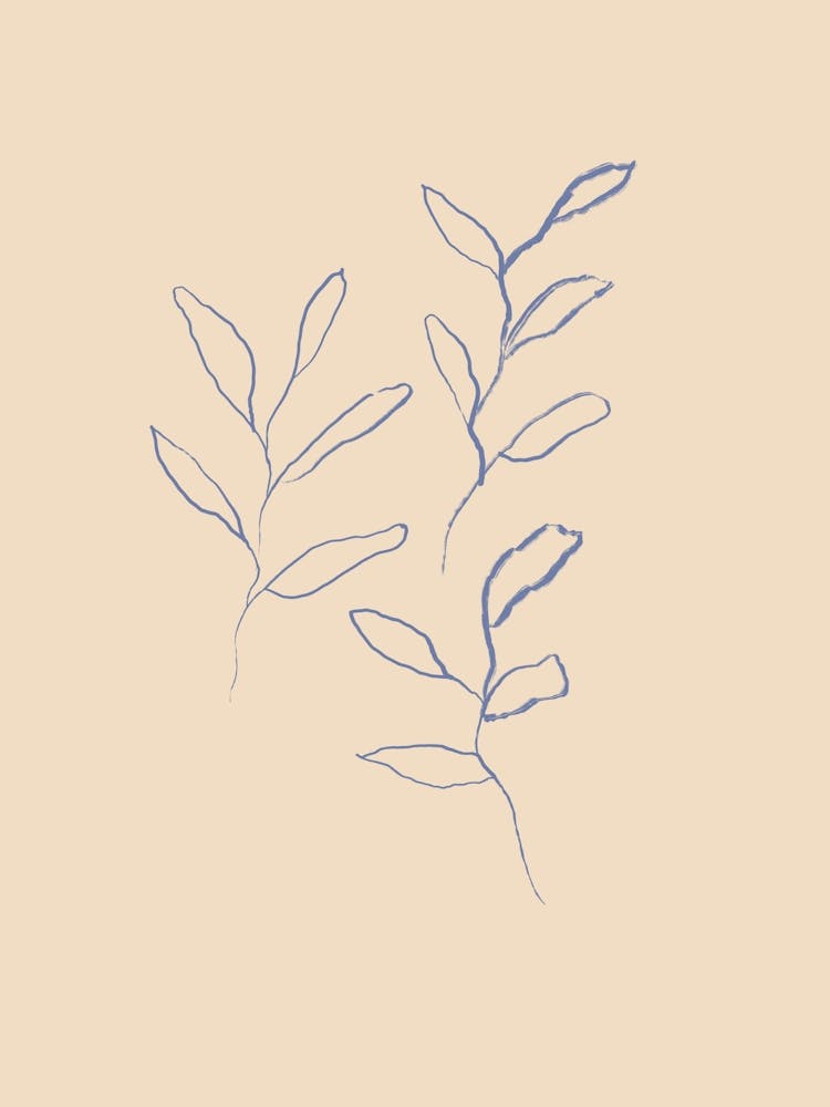 Pure forms no 12