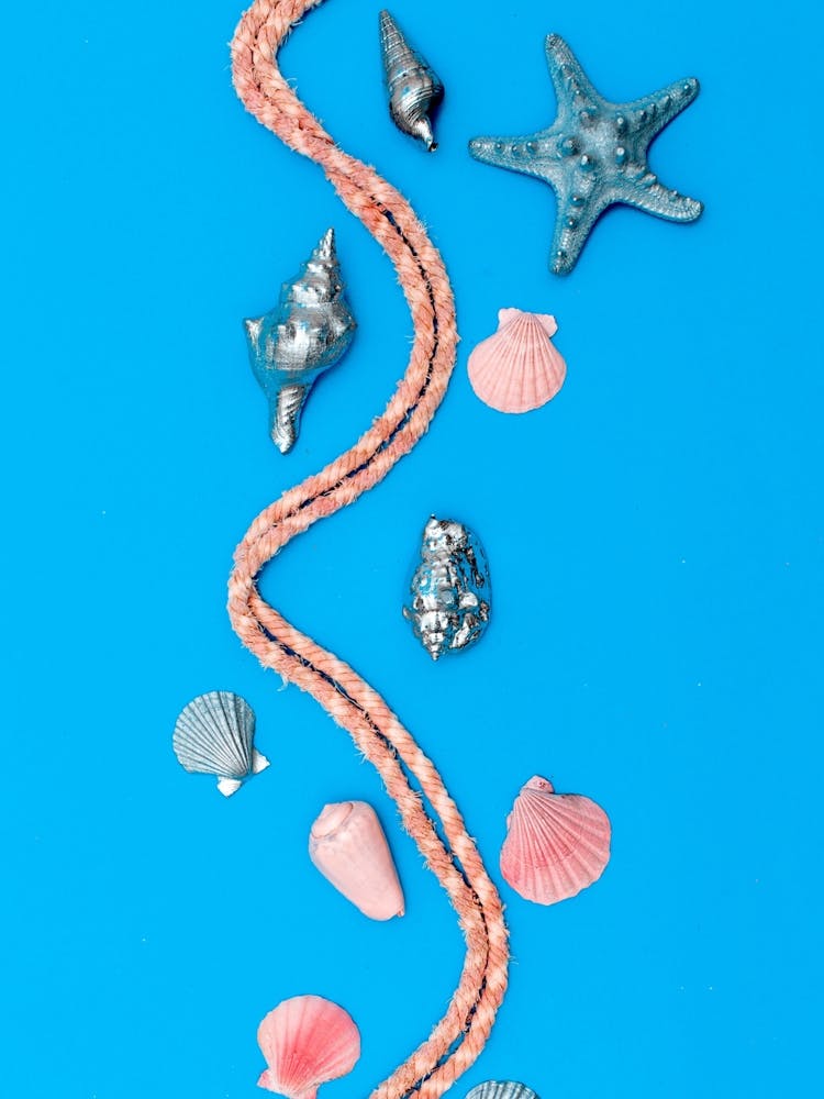 Sea Shells On Blue Background art
