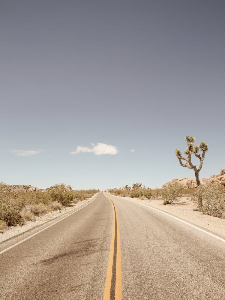 Road To Nowhere