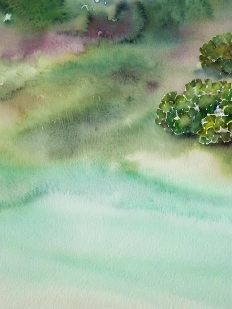 Acanthastrea Ii Storybook Watercolour