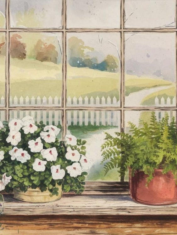 Sun-Drenched Window Sill - Floral Display