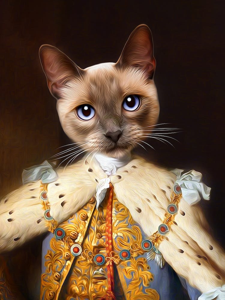 King Ramsay The Cat Pet Portraits