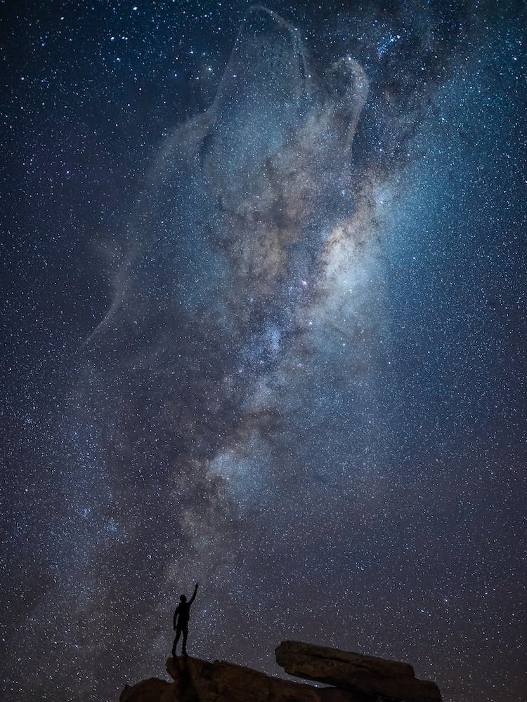 Reaching For The Wolf