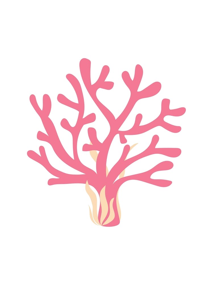 Korallenbaum