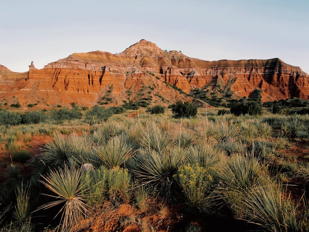 Texas Desert Mountains