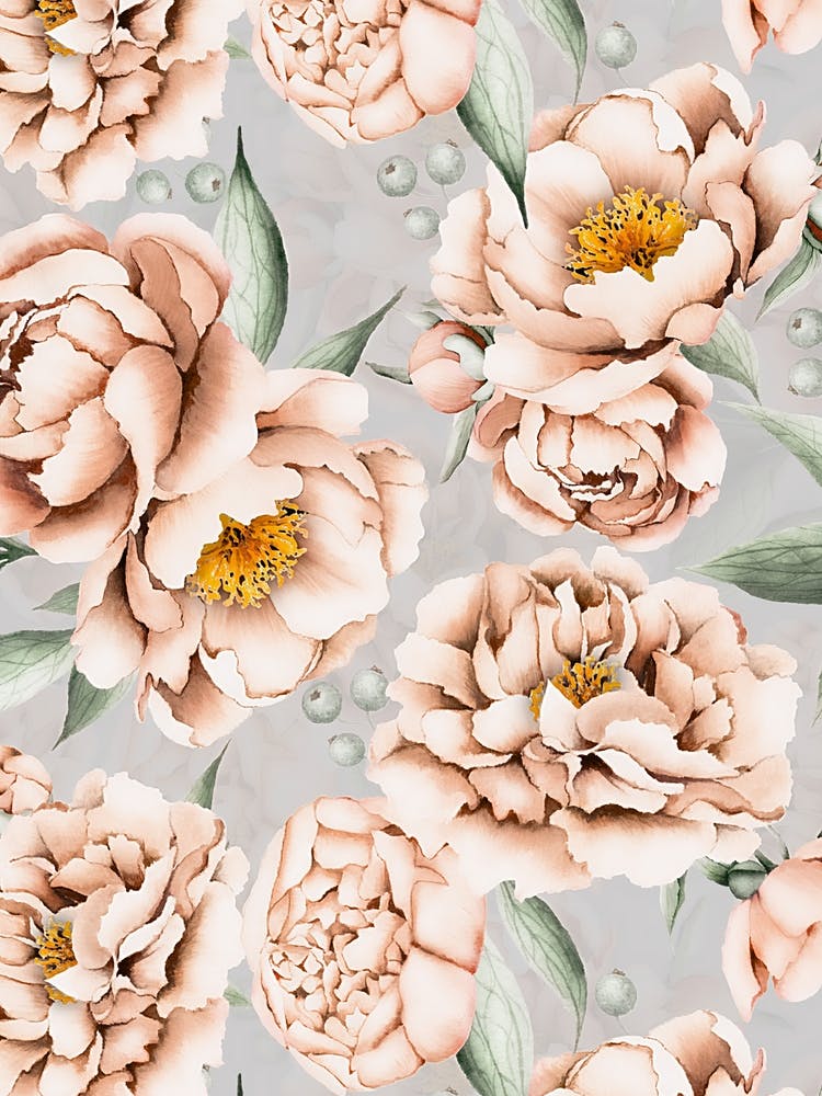 Peach Peonies