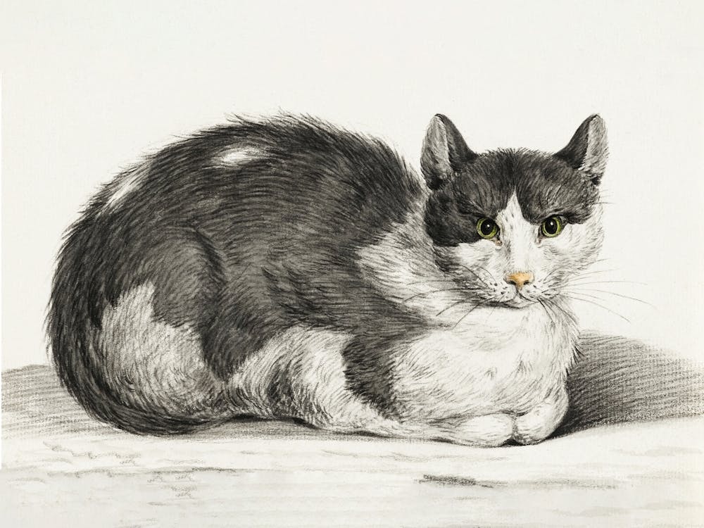 Reclining Cat 1, Jean Bernard