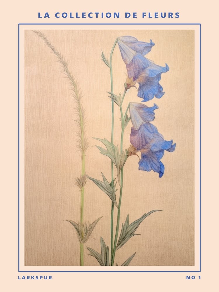 Larkspur French Flower Botanical Poster