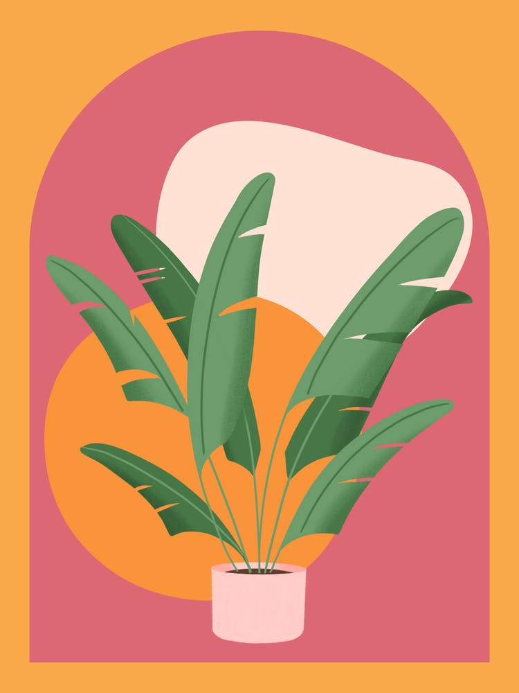Orange Plant Poster