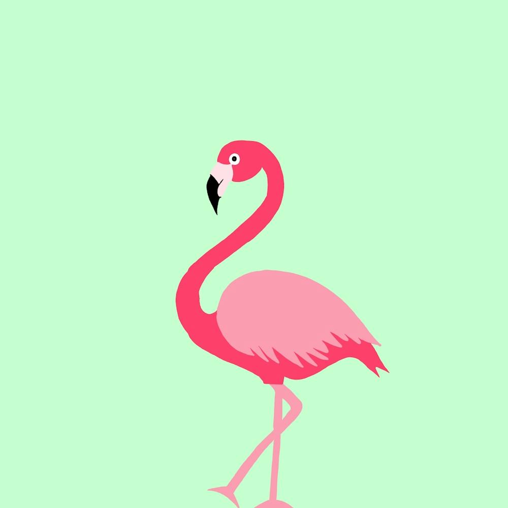 Flamingo On Mint