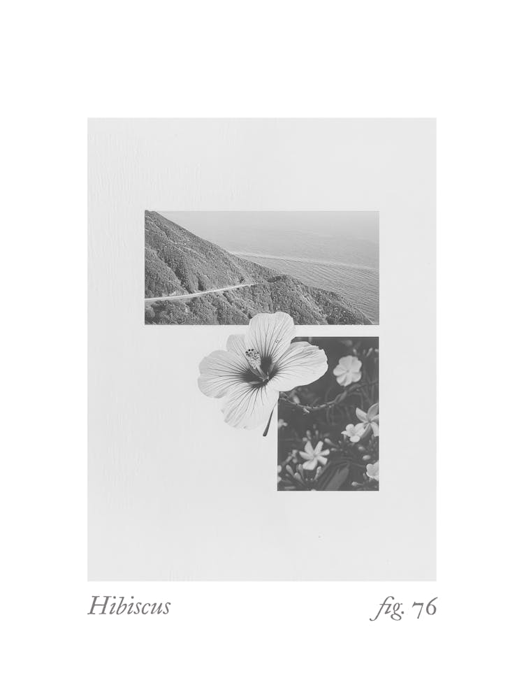 Hibiscus Botanical Collage 2