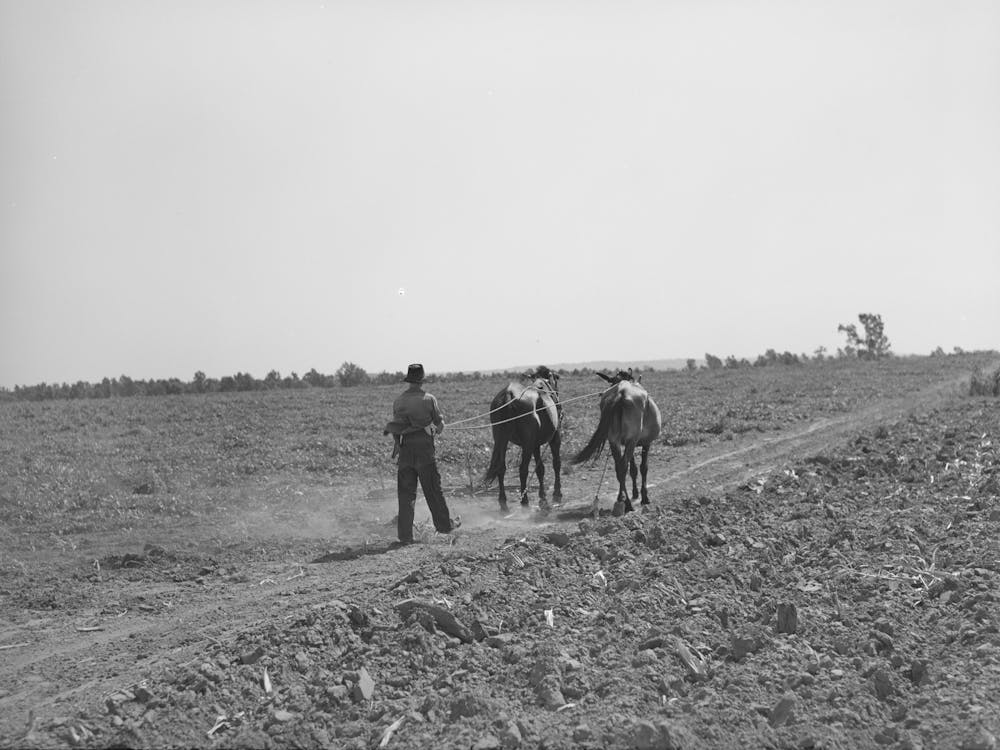 Son Of Tenant Farmer Going To The Field With Mules, Muskogee, Oklahoma, See General Caption Number 20 By Russell