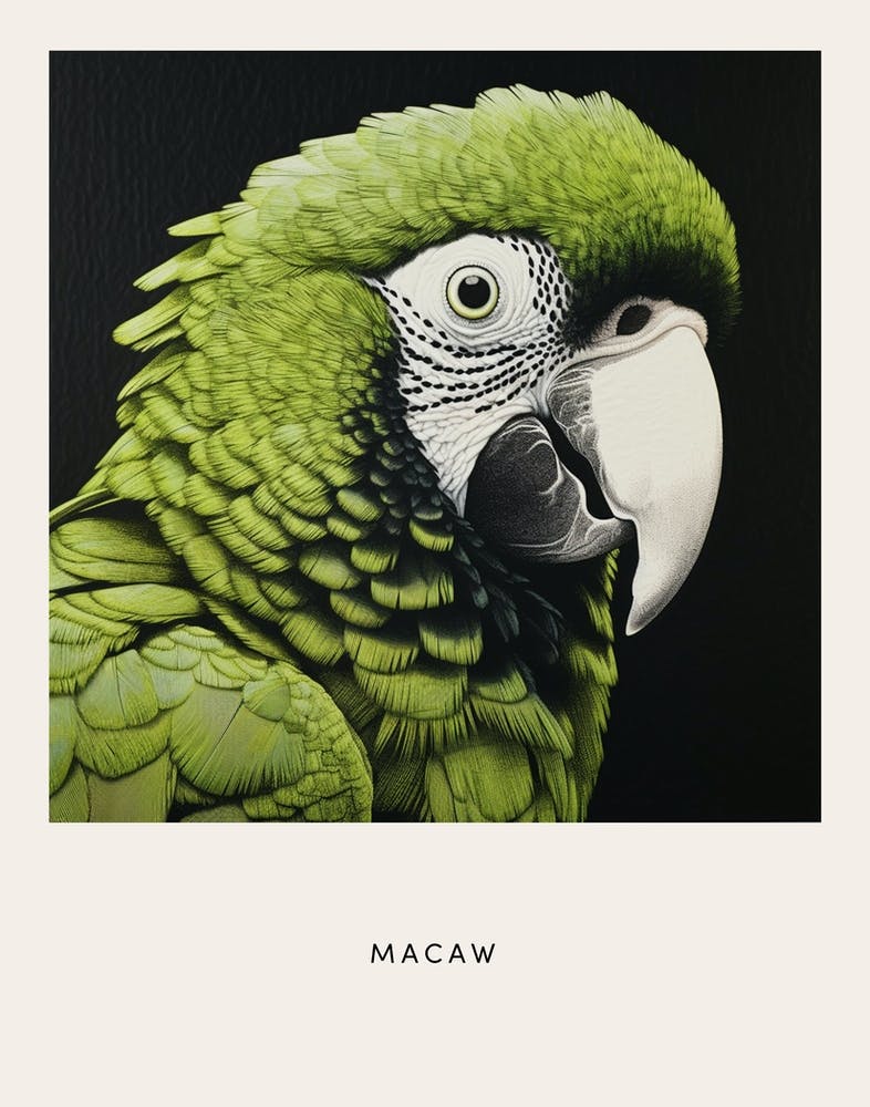 Ohara Koson Inspired Bird Painting Macaw 3 Poster
