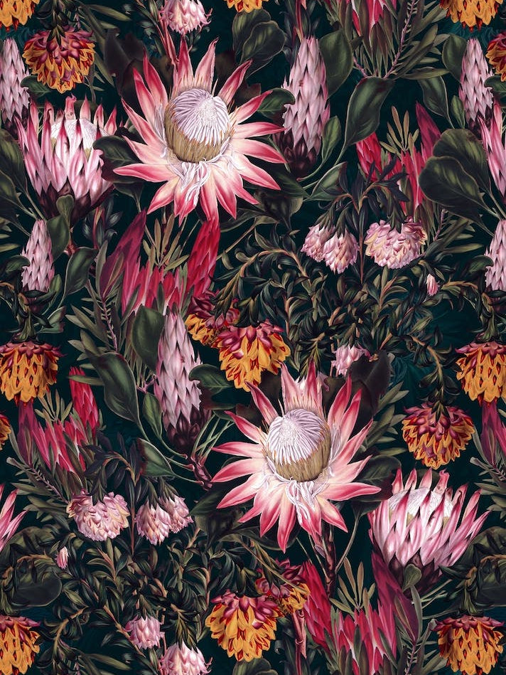 Protea Floral Night Pattern 2