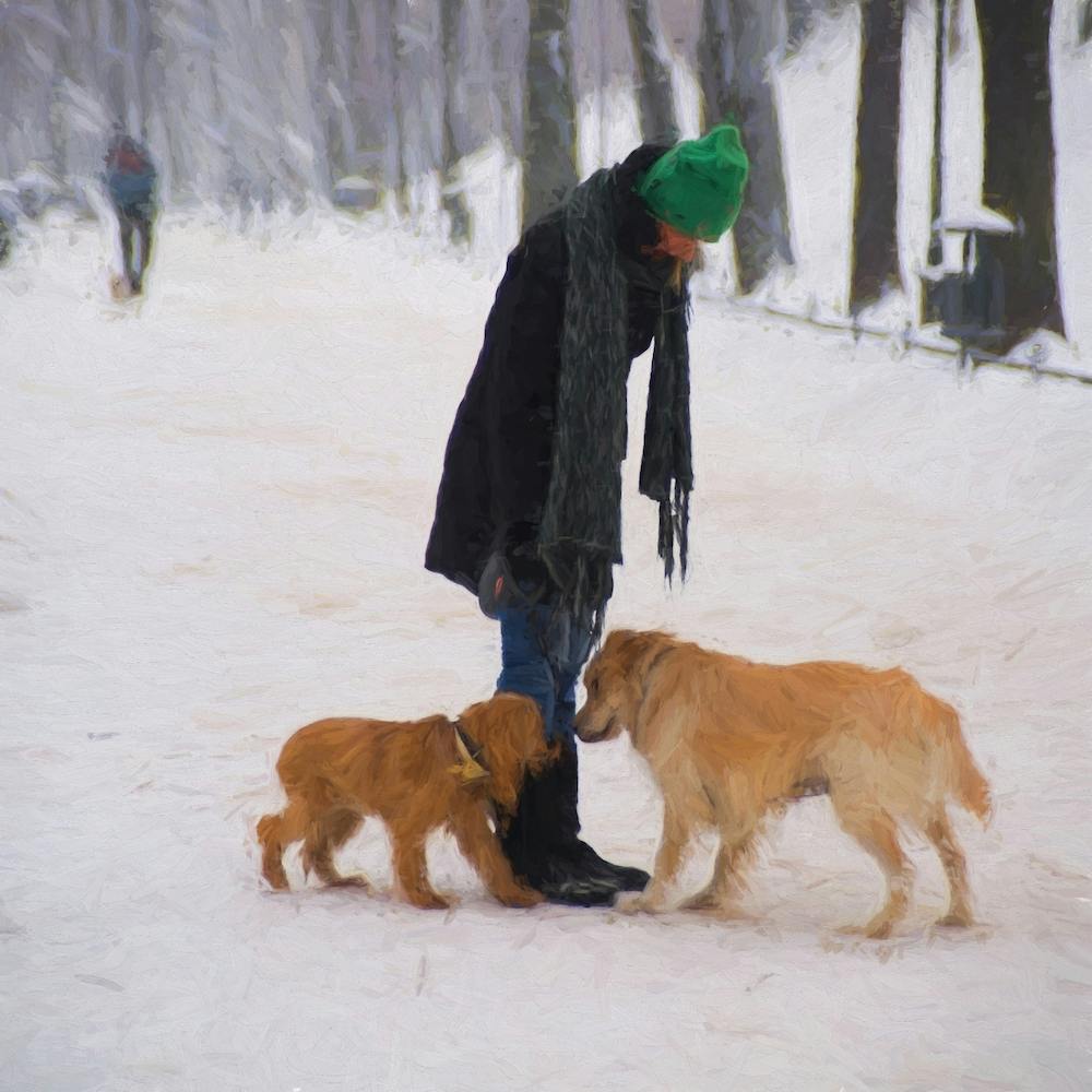 The Snowy Greeting Square