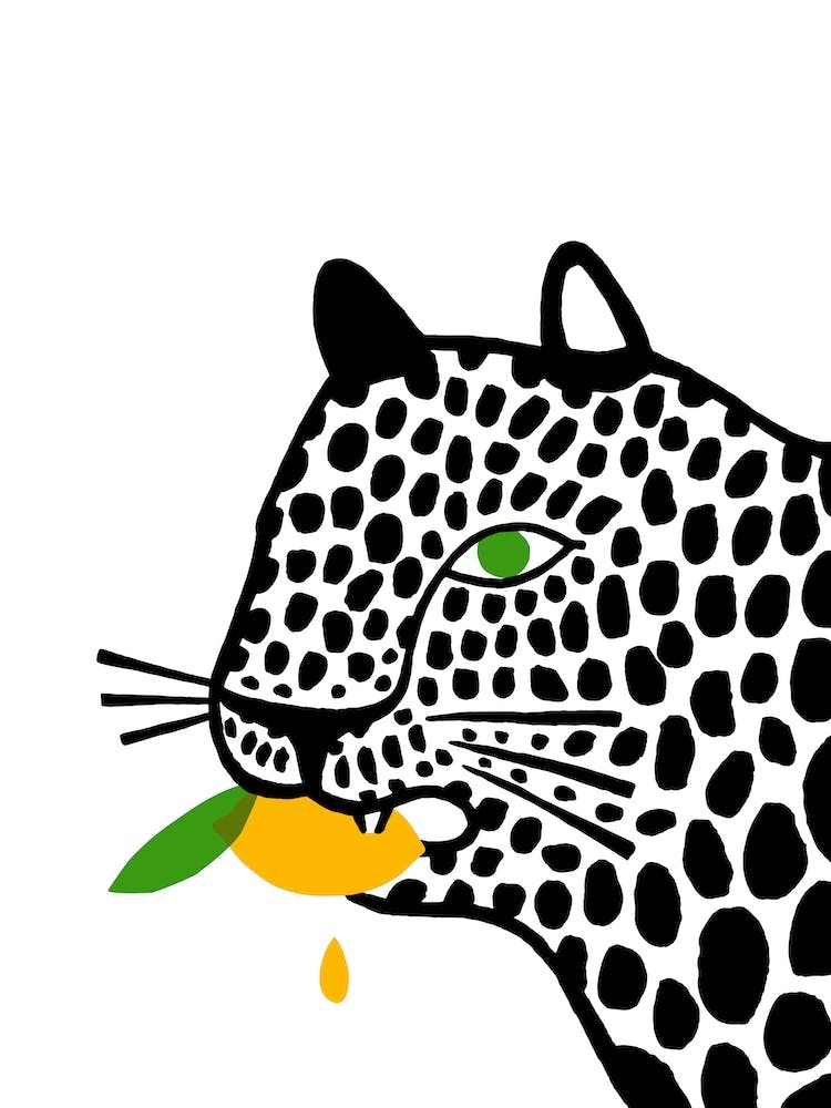 Big Cat Eating A Lemon