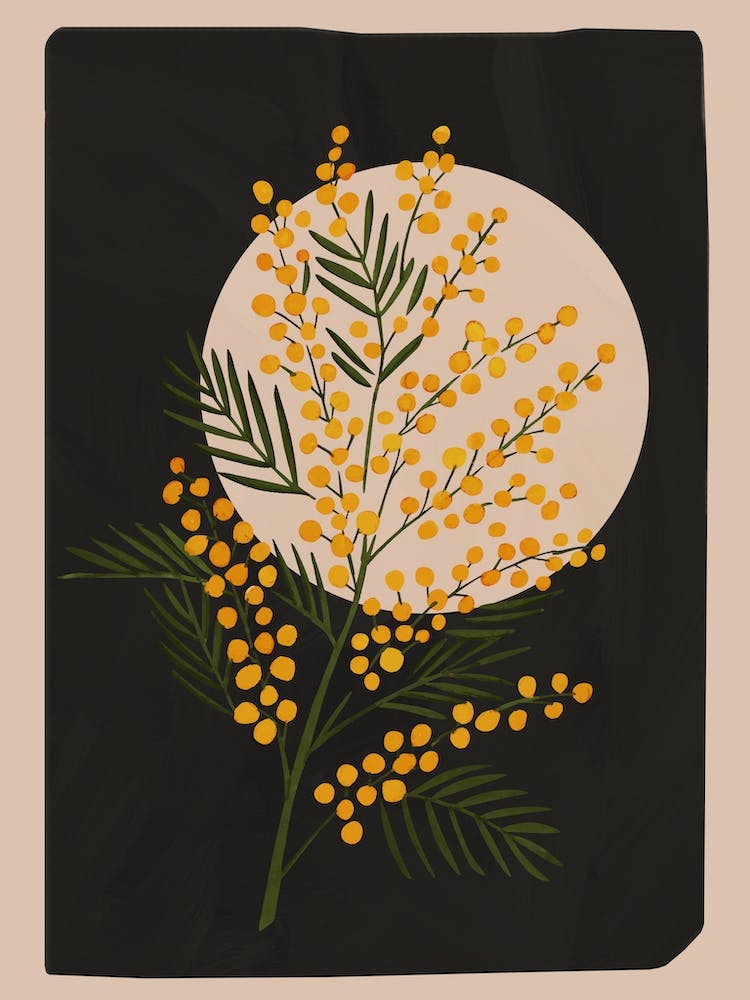 The Mimosa 3 1