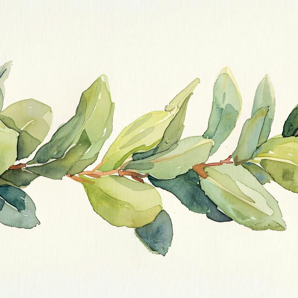Eucalyptus Branch