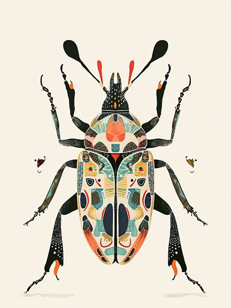 Colourful Insect Illustration Beetle 23