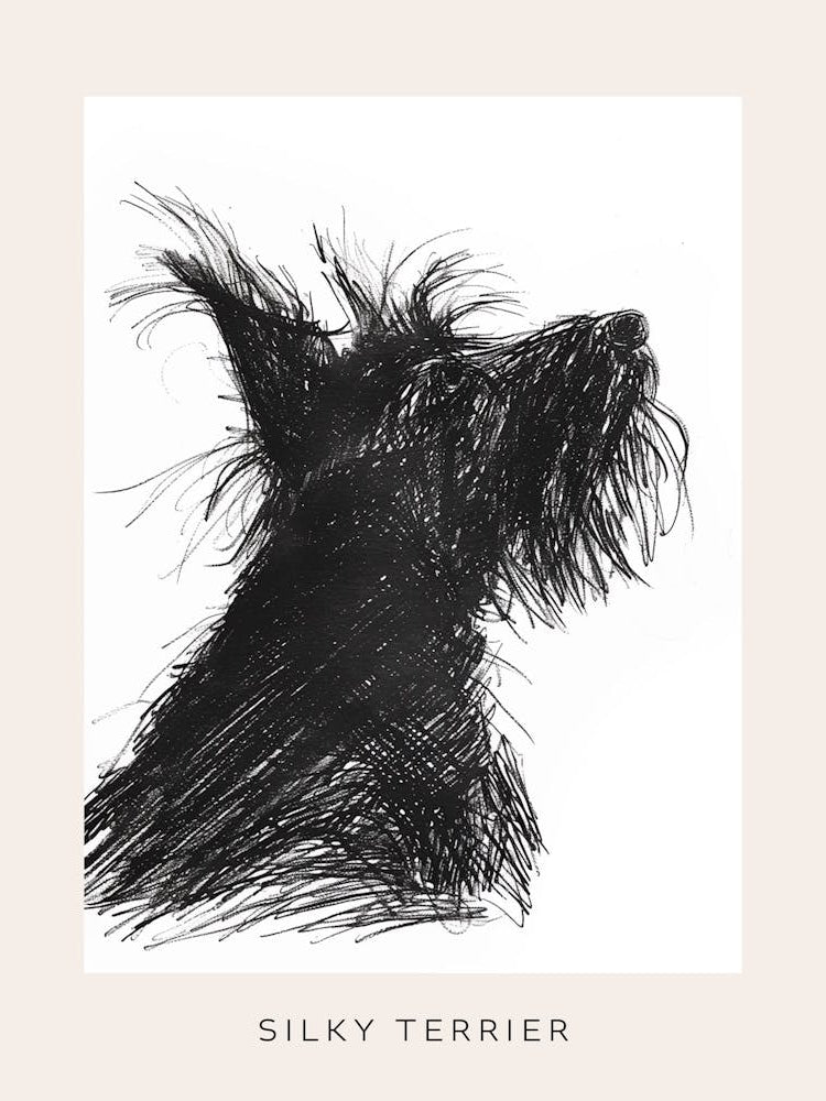 Skye Terrier Dog Line Sketch 2 Poster