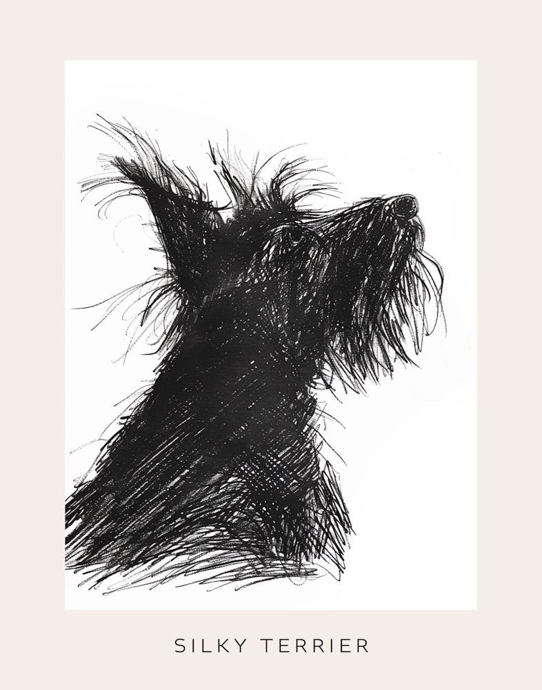 Skye Terrier Dog Line Sketch 2 Poster