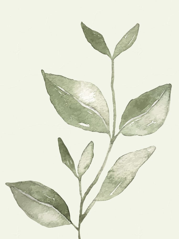 A Green Plant