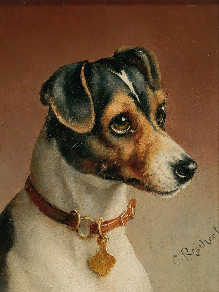 Portrait Of A Jack Russel Terrier, Carl Reichert