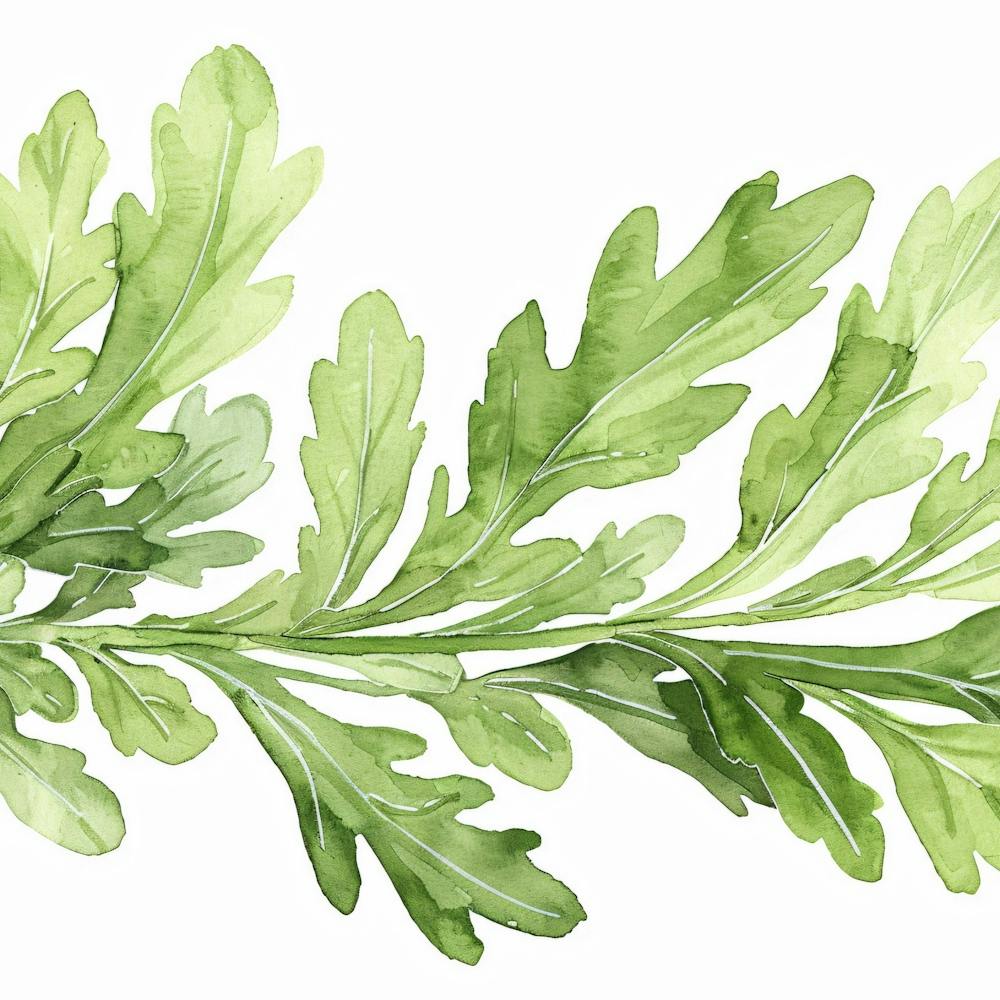 Lily Of The Valley 1