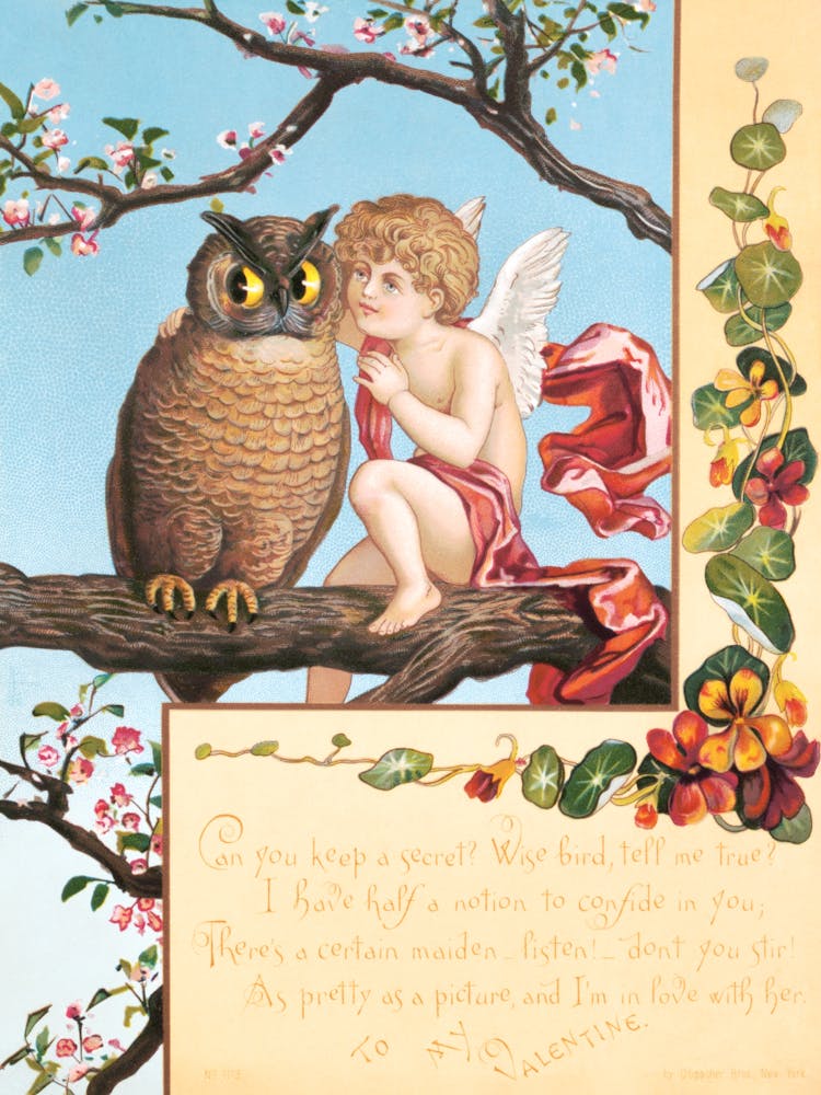 Owl And Cupid