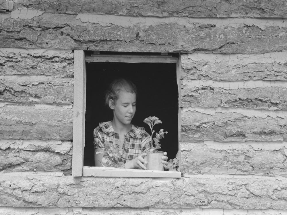 Untitled Photo, Possibly Related To Jack Whinery S Daughter Setting Pot Plant In Window, This Is The Window In The
