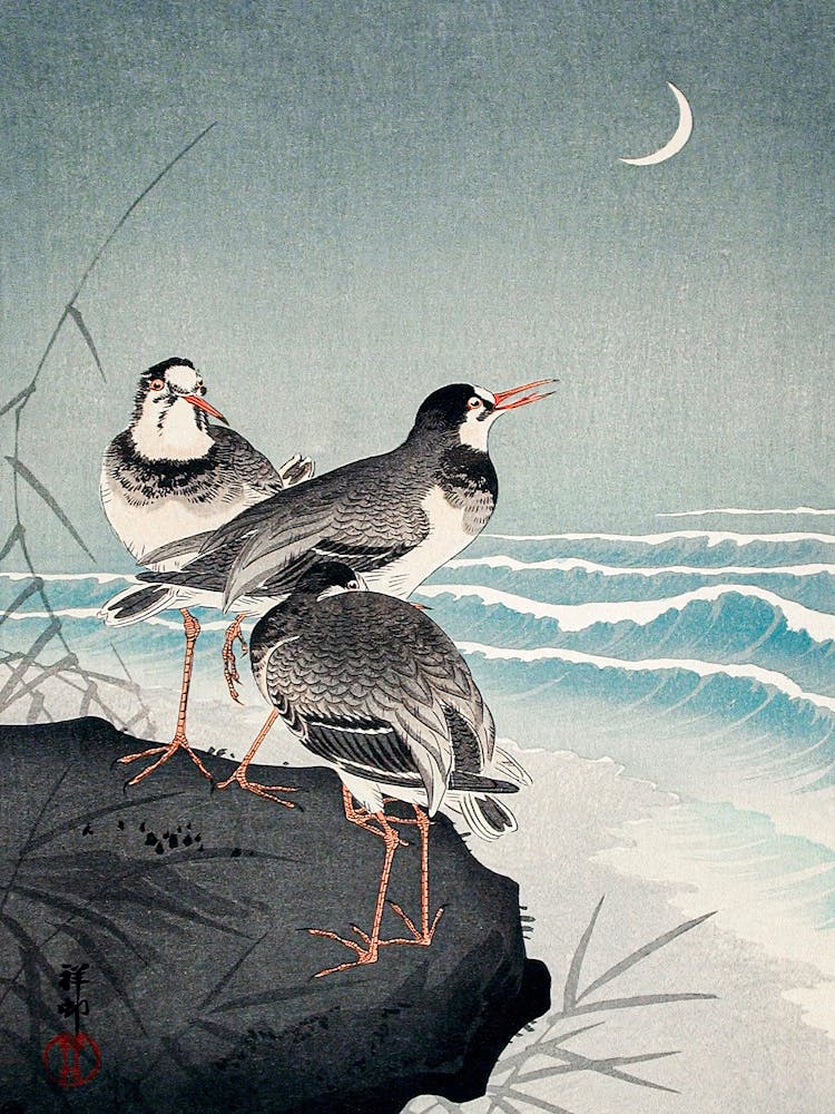 Snipes At The Shore (1926), Ohara Koson
