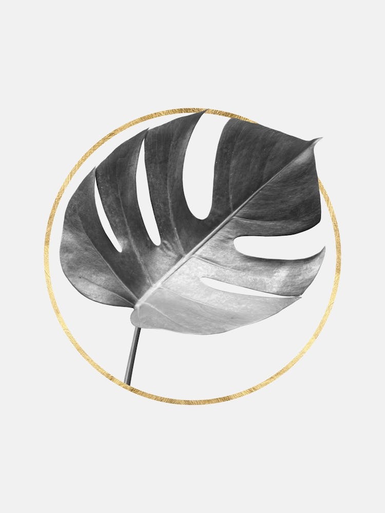 Minimalist floral art 3