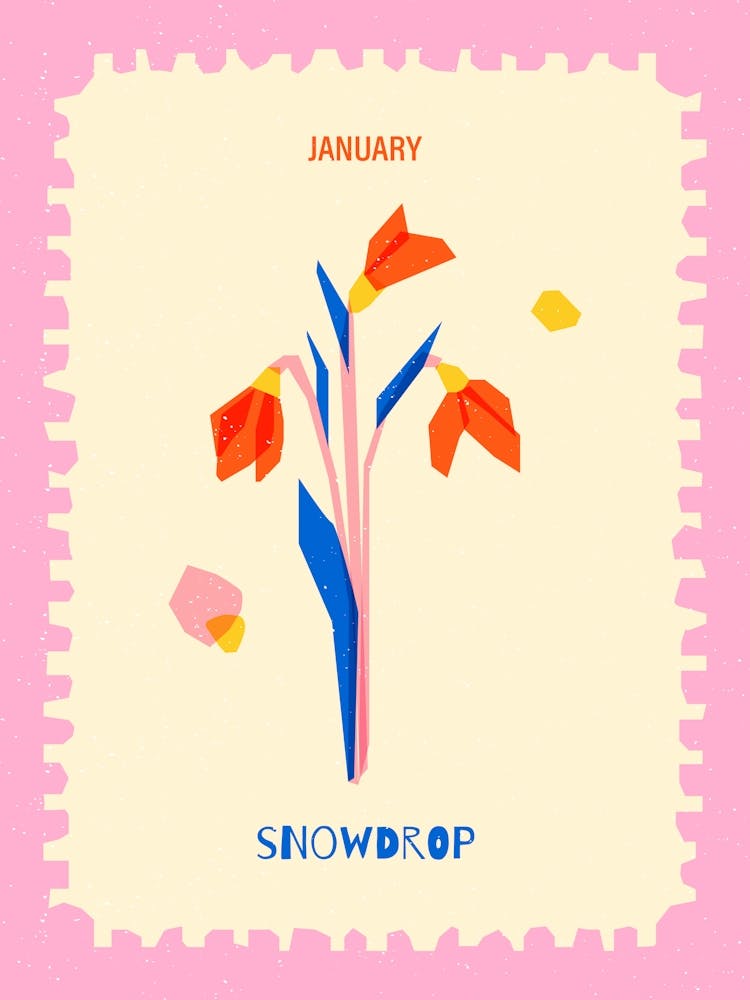 January Birthmonth Flower Snowdrop