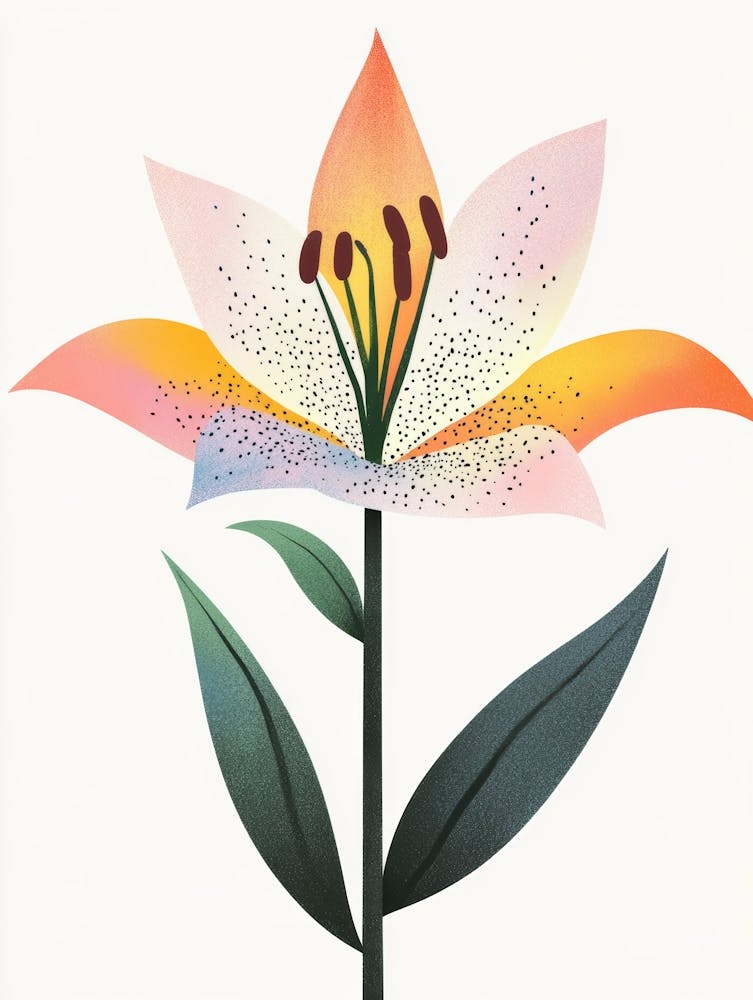 Lily 007
